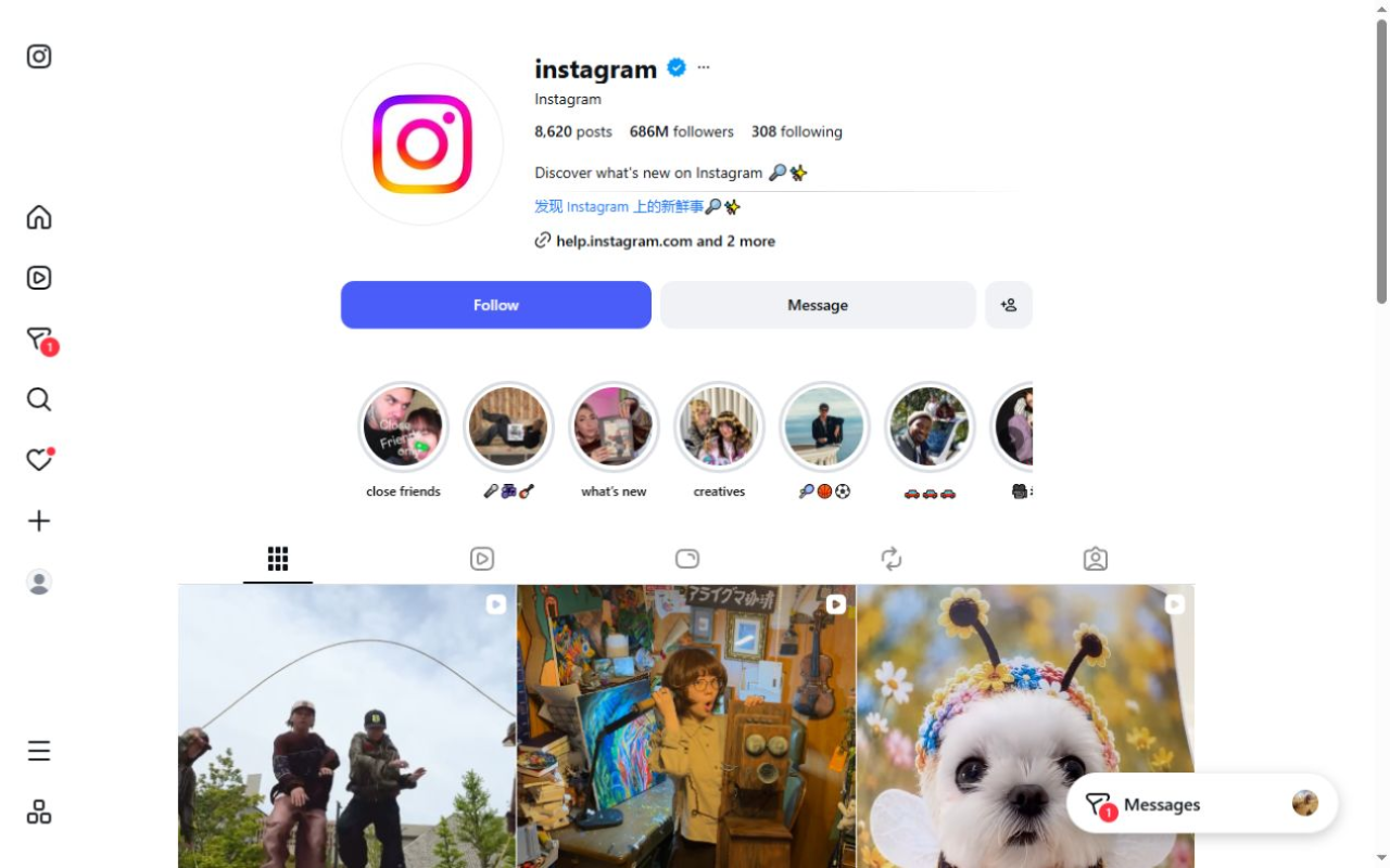 Instagram profile biography with an inline Chinese translation from SMDeck